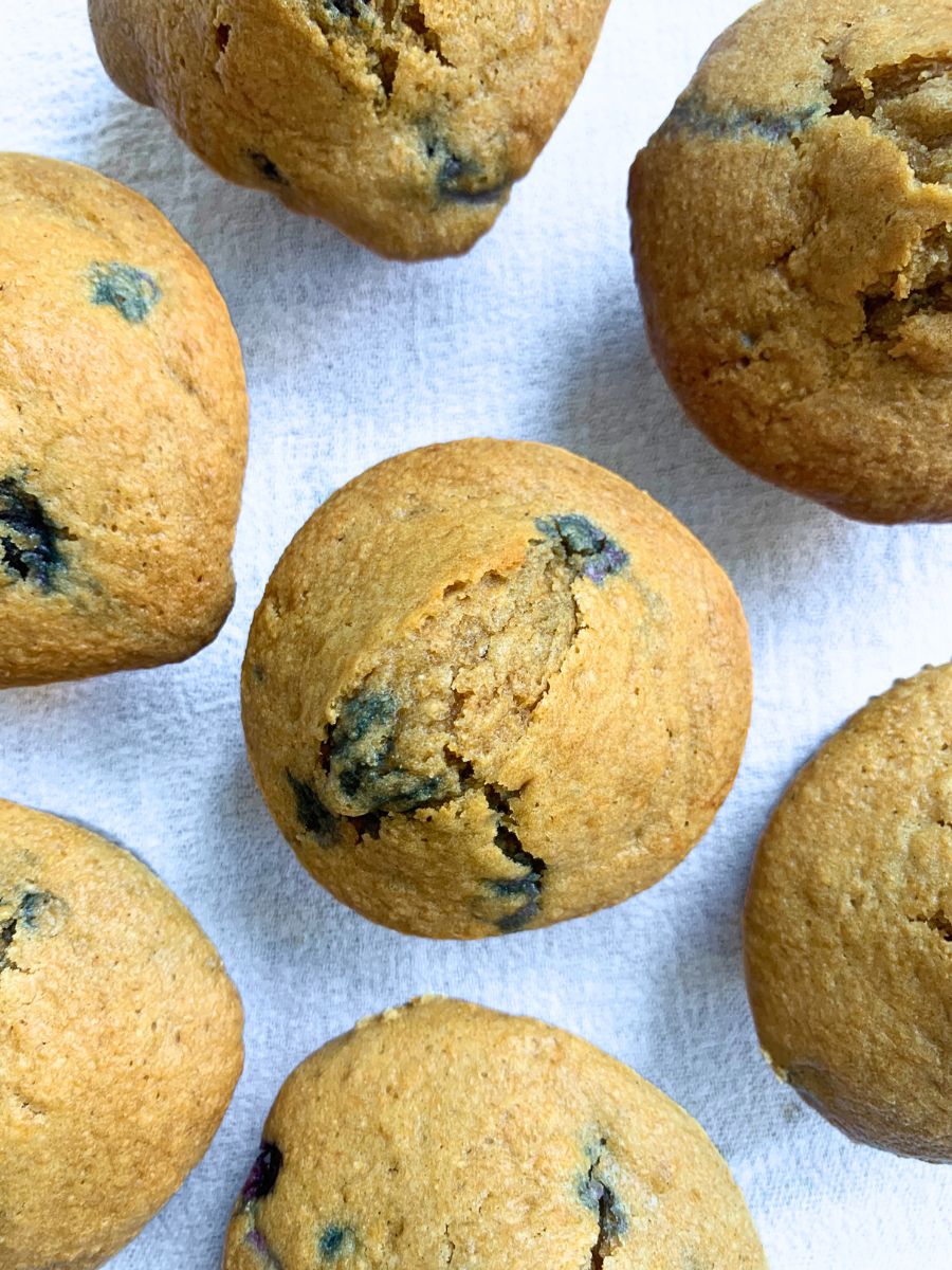 Simple Fresh Milled Huckleberry Muffins